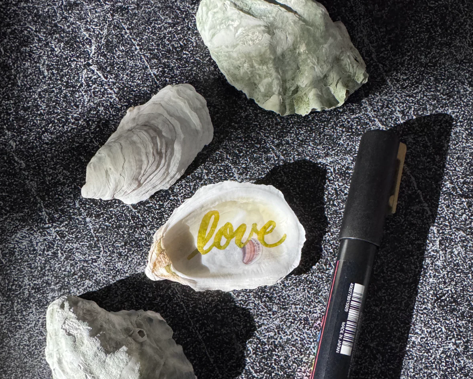 Learn Ornament Calligraphy & Lettering Workshop