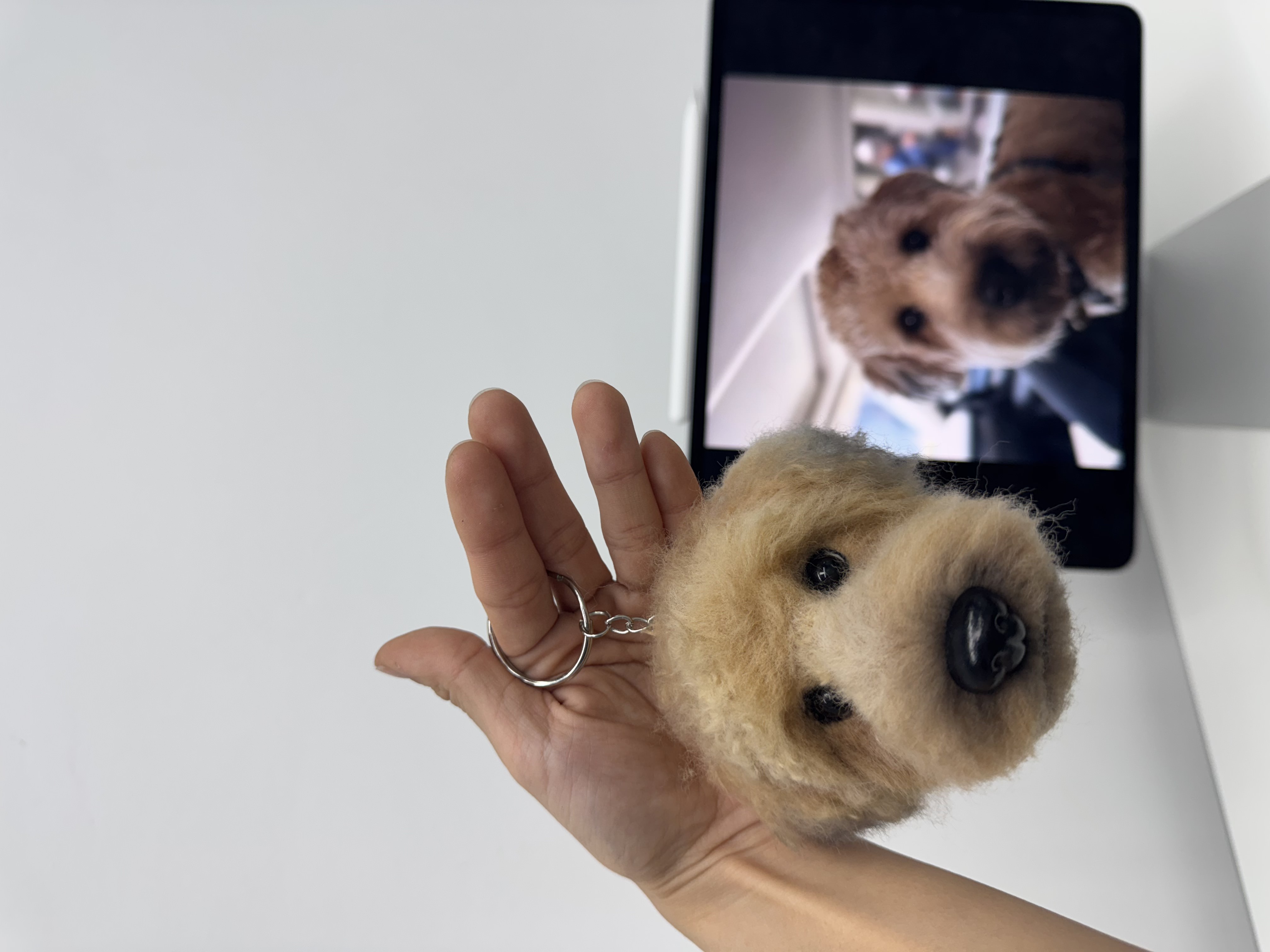 Needle Felted Custom Dog Portrait Keyring - 3 Sessions