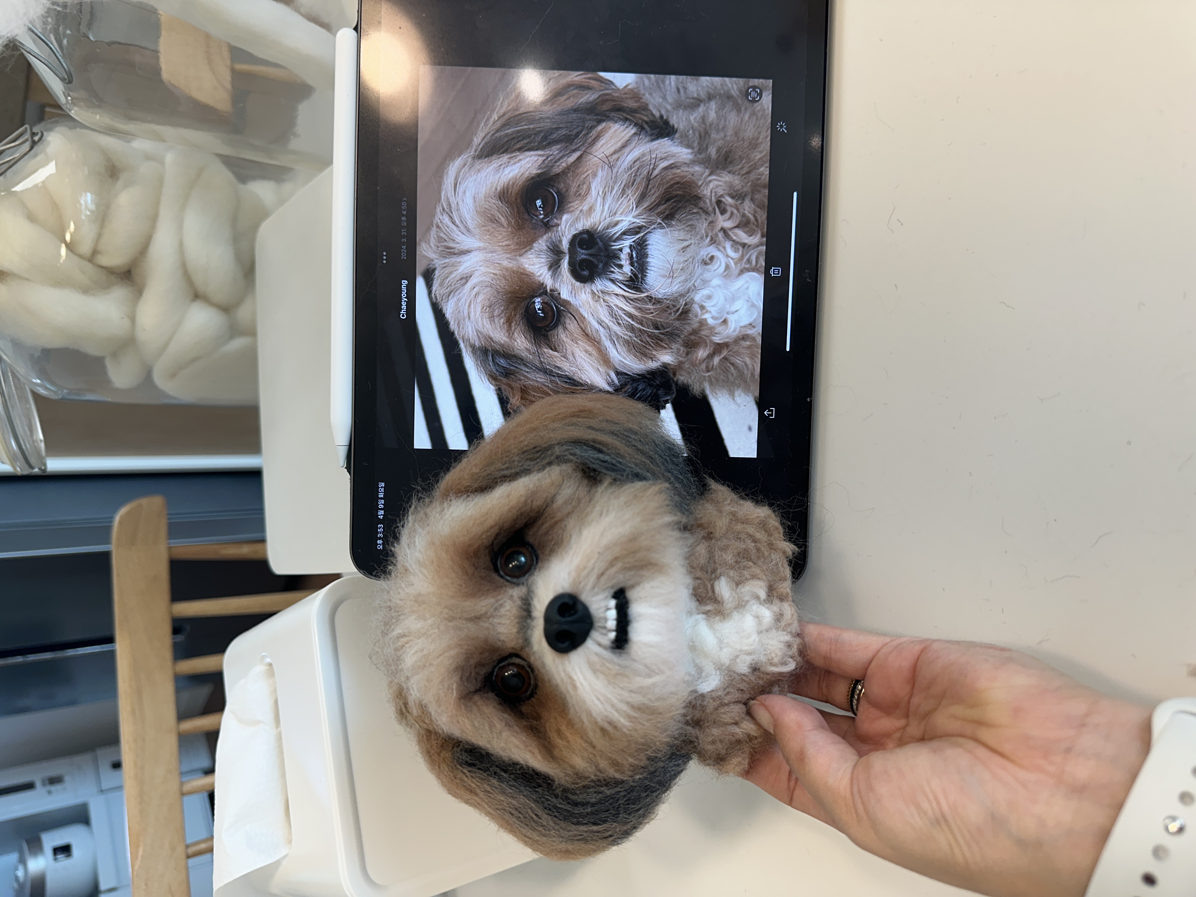 Needle Felted Framed Custom Dog Portrait - 5 Sessions