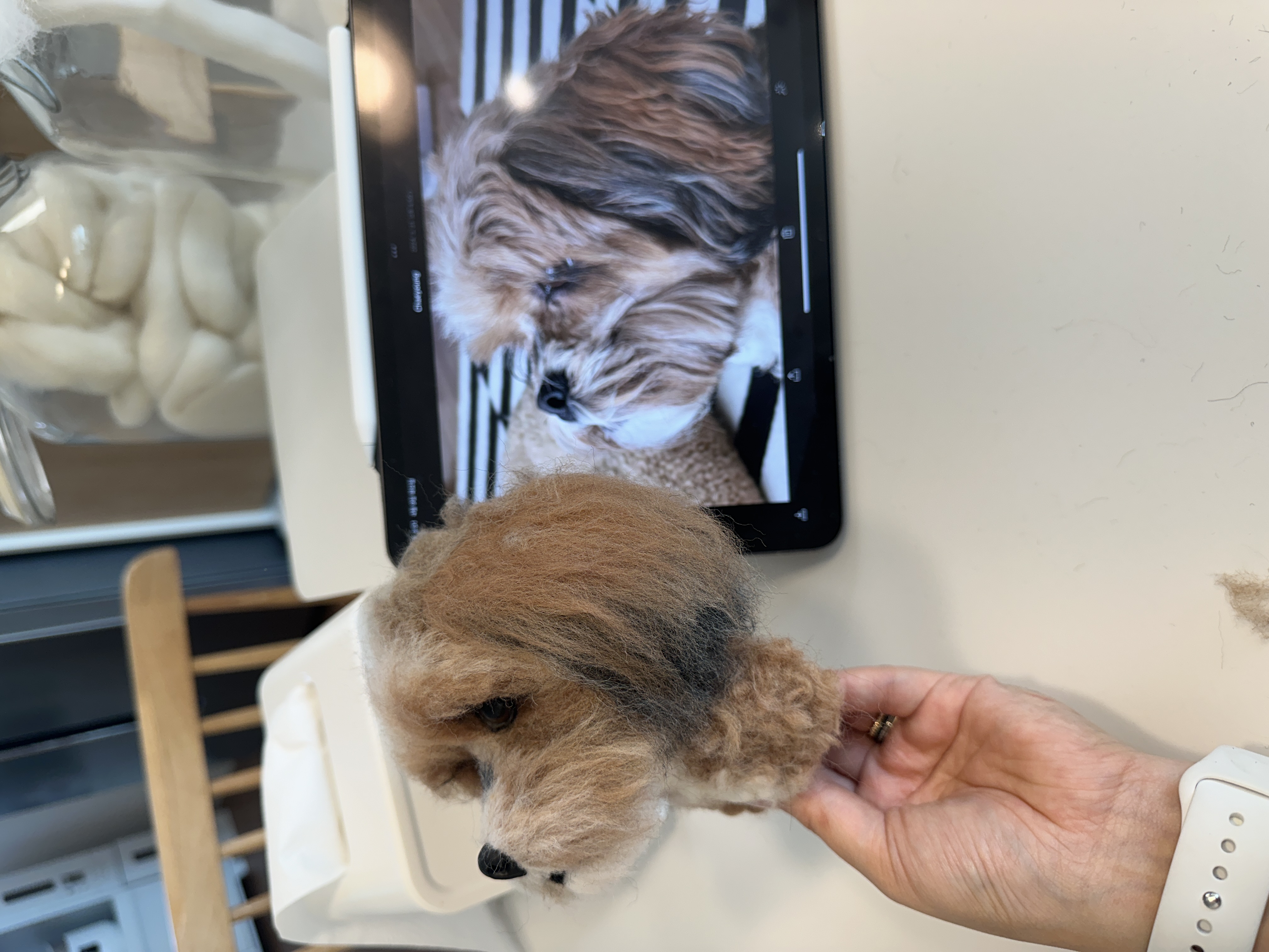 Needle Felted Framed Custom Dog Portrait - 5 Sessions
