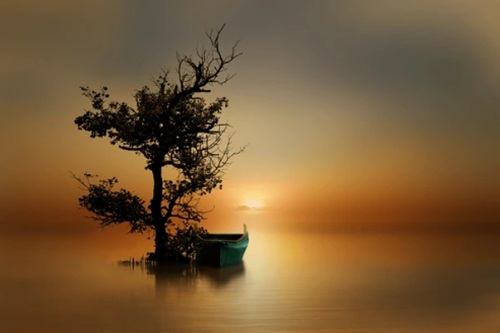 Fine Art Photography: The Complete Guide (Self-Paced)