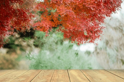 Creating Painterly Photographs (Self-Paced)