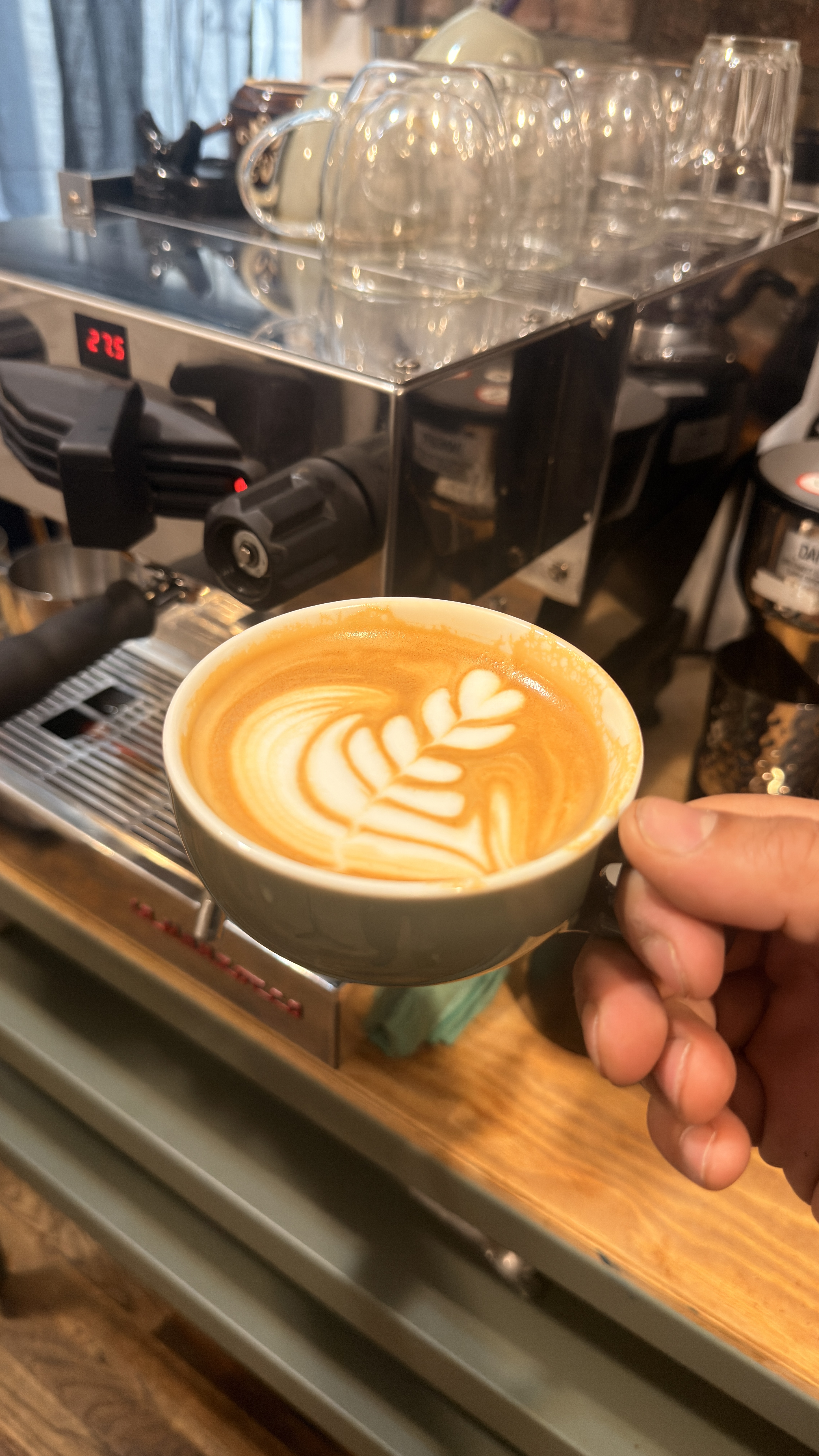 Latte Art and Basics for Beginners Class