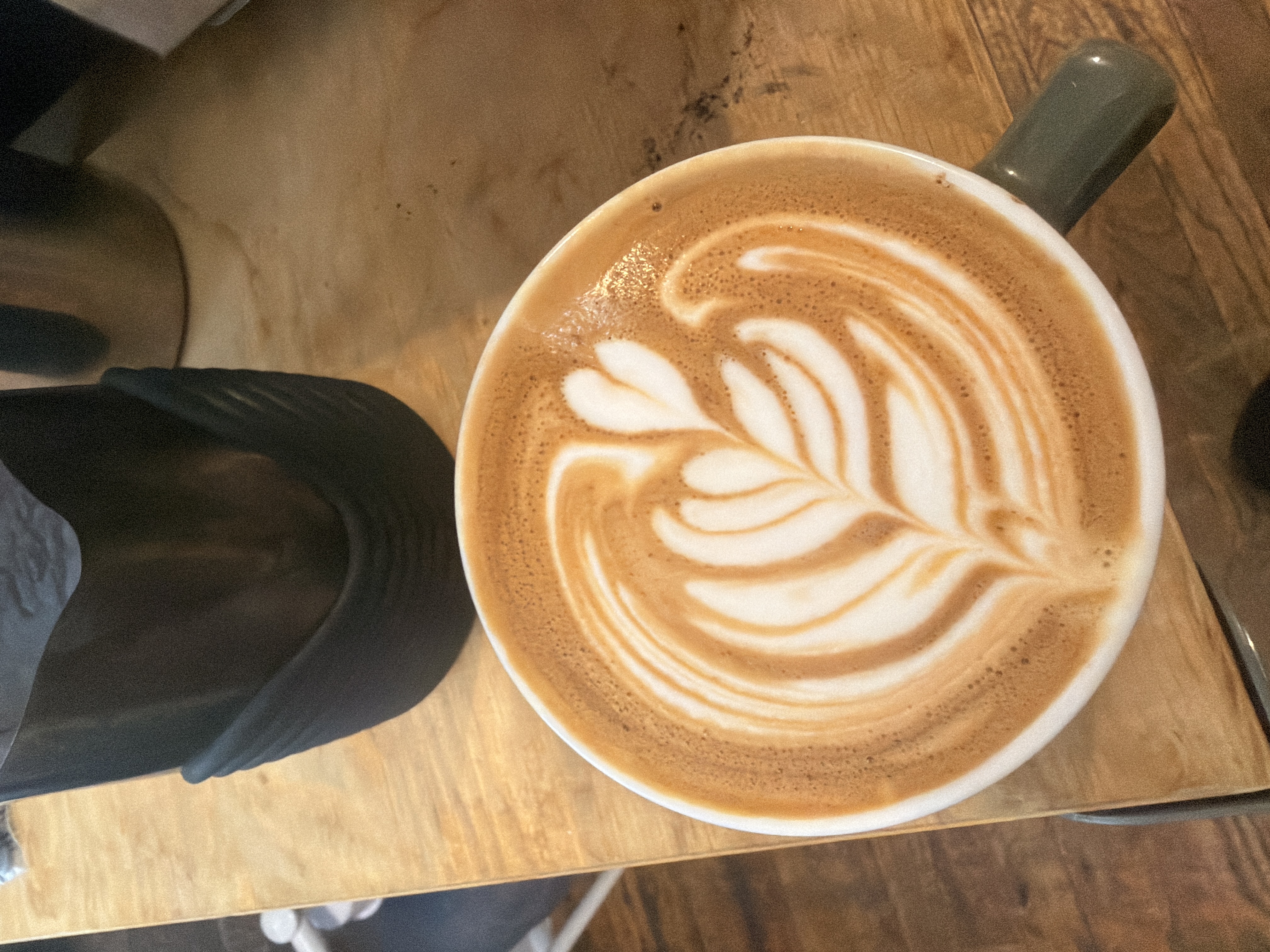 Latte Art and Basics for Beginners Class
