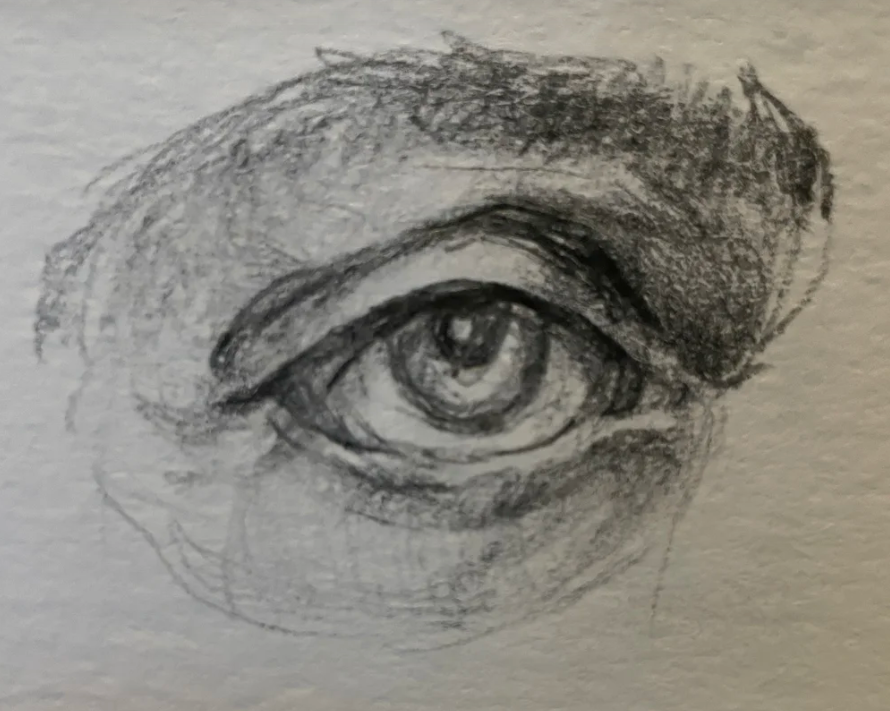 Sketching the Eye