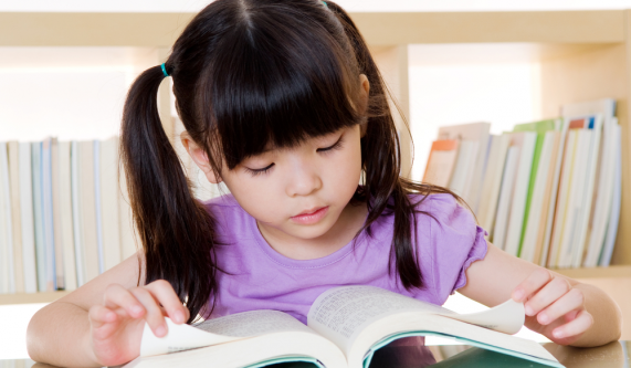 See It, Say It, Read It: Reading Foundations (Gr 1-3)