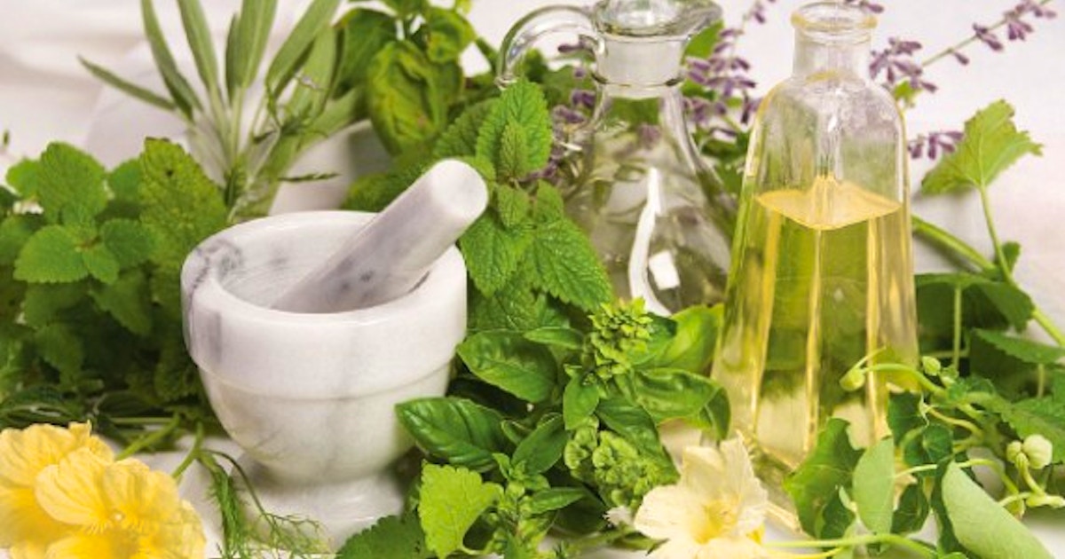 Herbs For Intuitive Wisdom A Winter Solstice Ritual Natural Medicine Classes New York Coursehorse New York Open Center