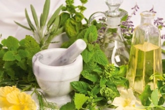 Herbal Syrups, Soups, & Infusions