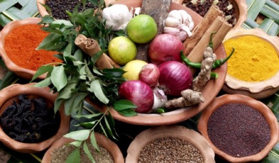 Healing with Foods: Recipes to Detox & Fortify