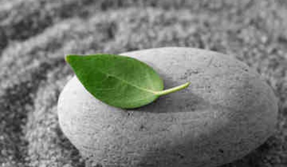 Free Intro: Meditation and the Alexander Technique