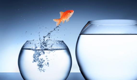Life Direction and Career Clarity From the Inside Out