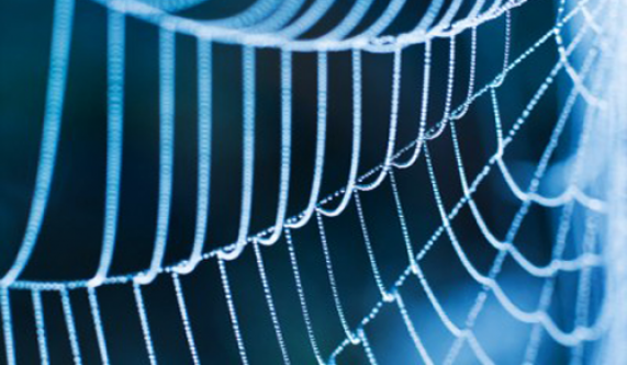 Spider Healing-An Evening Workshop and Ritual