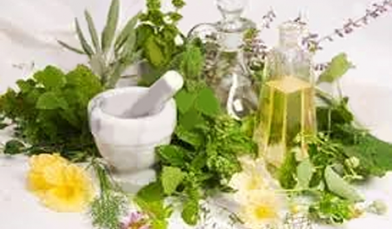 Green Medicine: A 4-Month Training in Herbalism