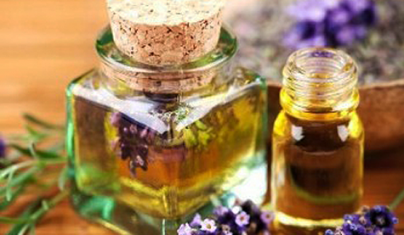 Free Intro: Applications and Uses of Essential Oils