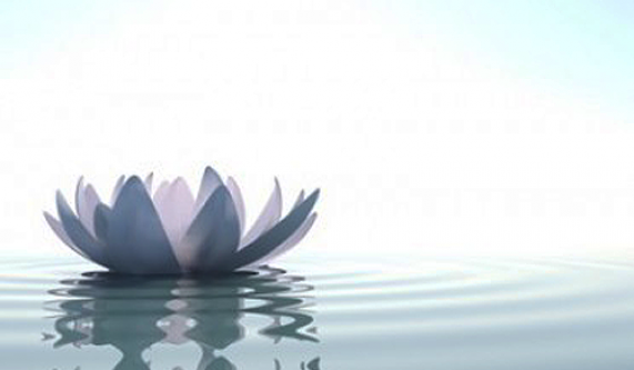 Free Intro: Mindfulness-Based Stress Reduction