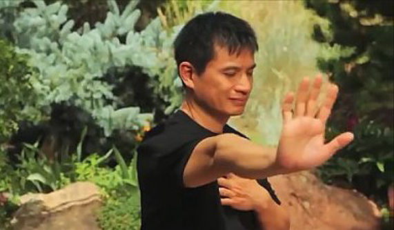 Free Intro: Qigong Remedy Practices & Routines