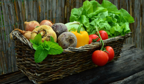 Combining Paleo Diet w/ Ayurvedic Medicine