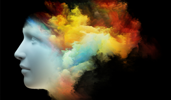 Emotions and Our Brain