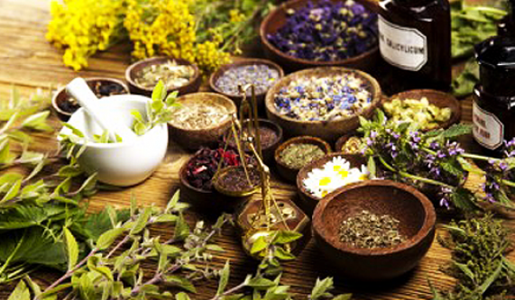 Healing Spices: Herbal Medicine in Your Spice Rack