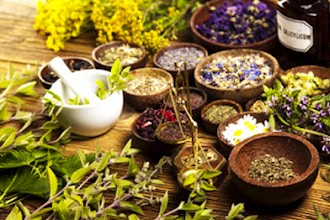 Healing Spices: Herbal Medicine in Your Spice Rack