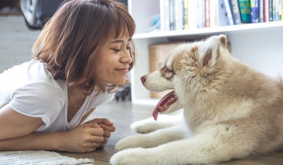 Free Intro: Theta Approach to Animal Communication 1&2