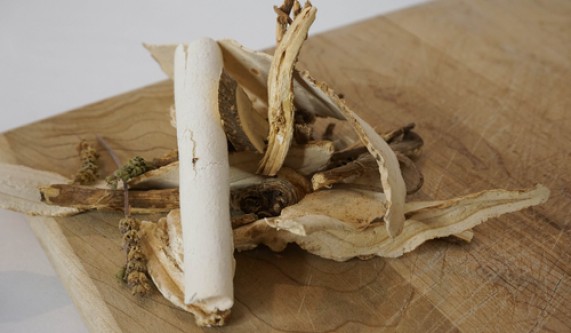 Learn Mushroom Cultivation & Tincture Making