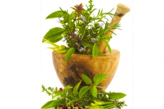 Art of Herbal Medicine Making For Topical Applications
