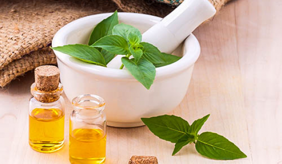 The Power of Plant Medicine