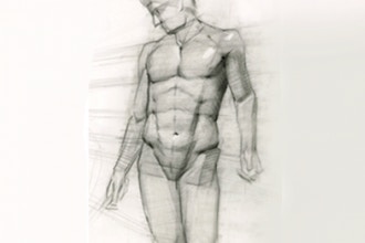 Introductory Figure Anatomy