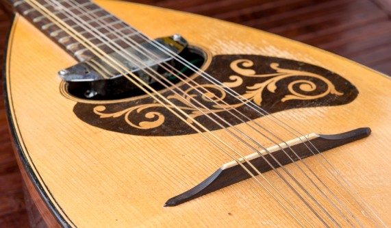 Irish Mandolin I Beginners Mandolin Classes New York CourseHorse