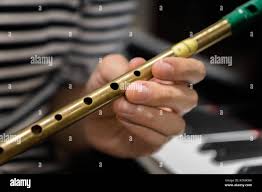 Tin Whistle I: Beginners