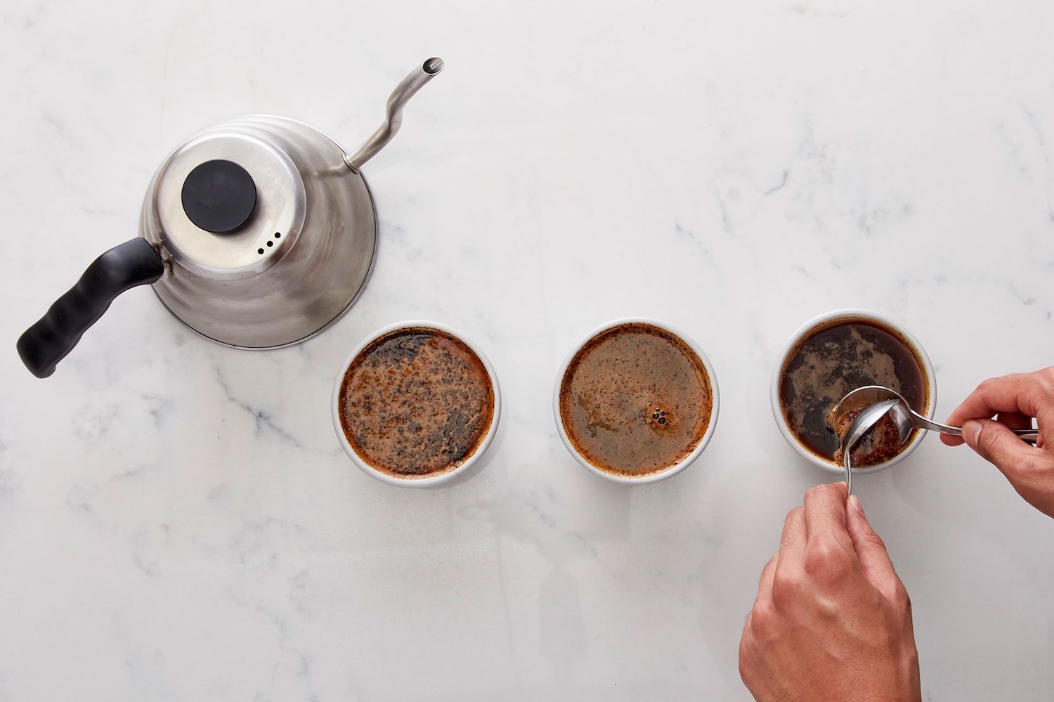Introduction to Coffee & Cupping