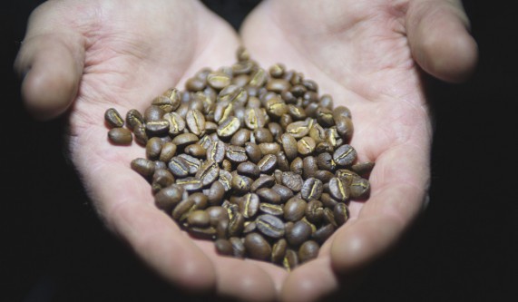 Virtual Coffee Tasting