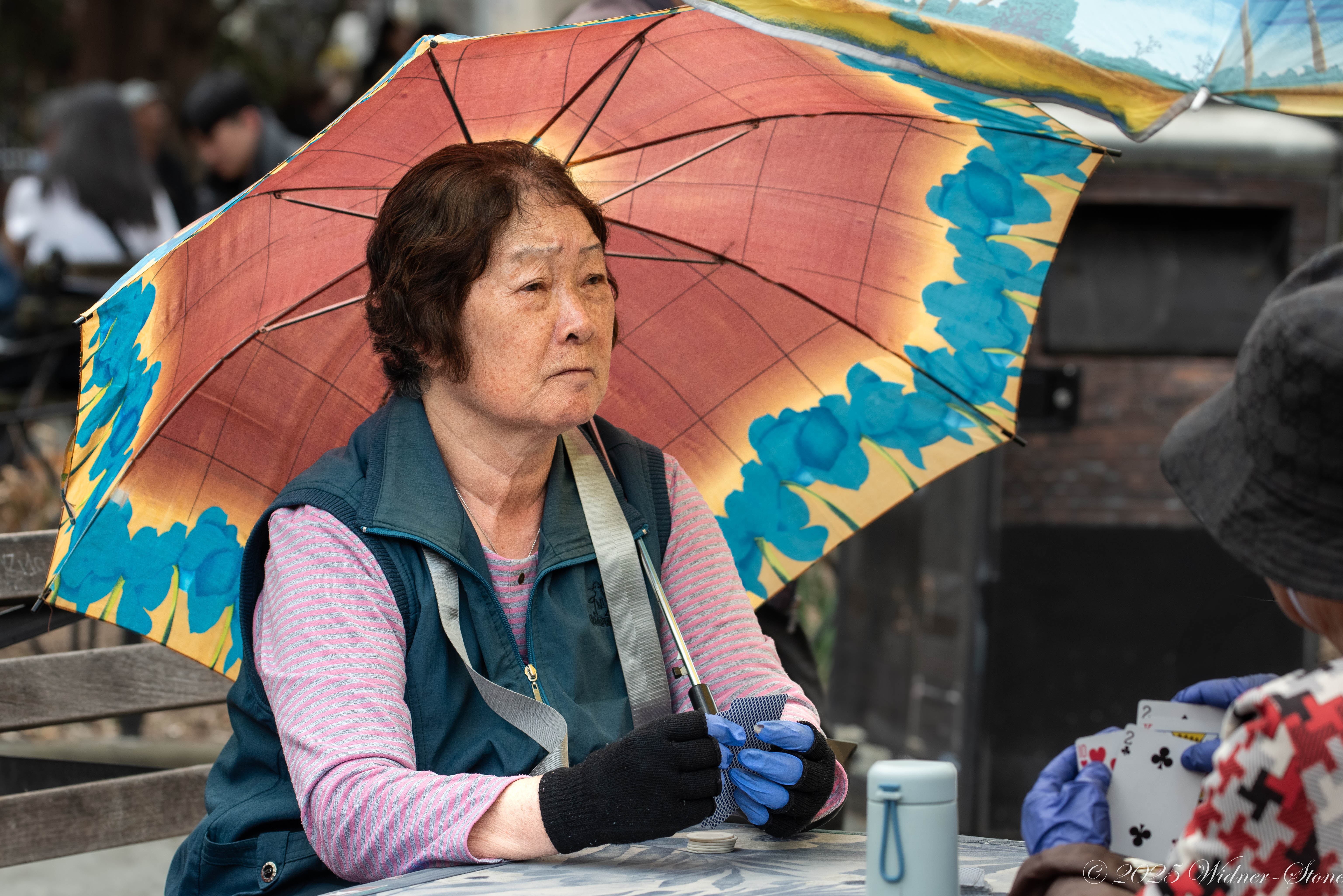 The Real New York: Chinatown Photography Class