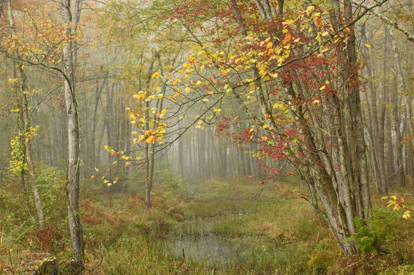 Fall Along the Delaware Photography Course