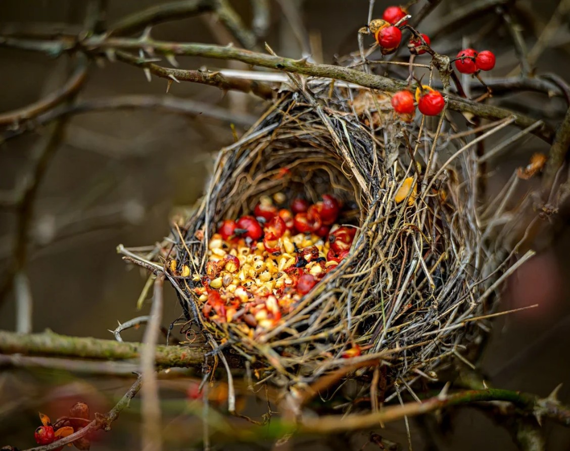 Fall Along the Delaware Photography Course
