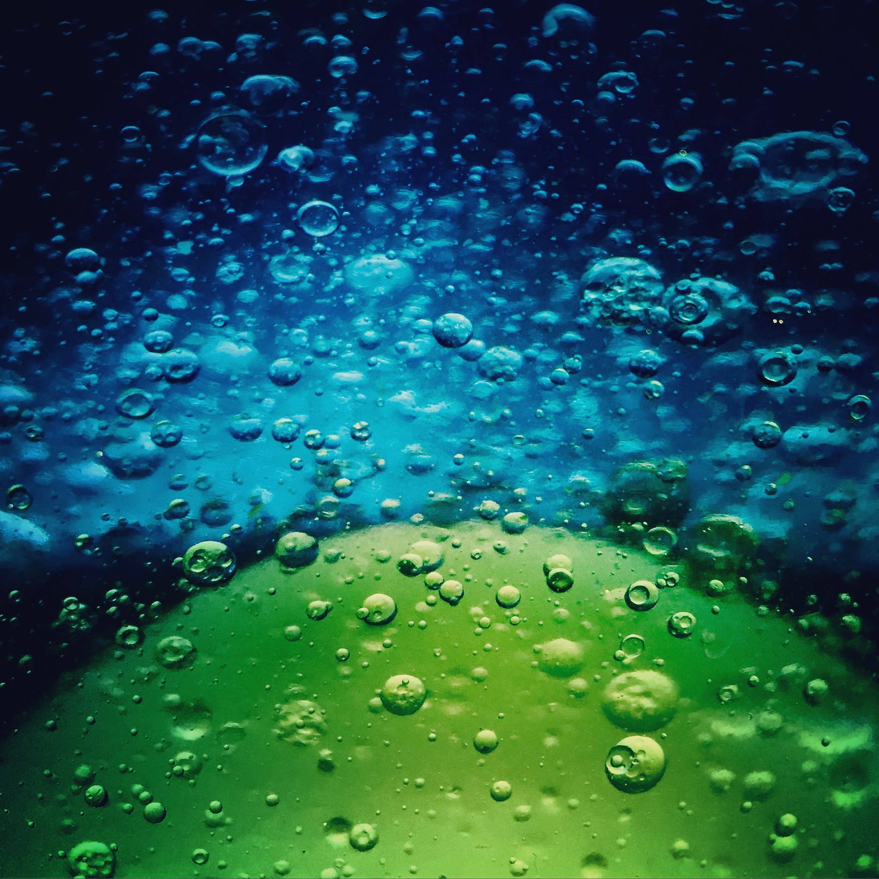Make Better Pictures with Your iPhone