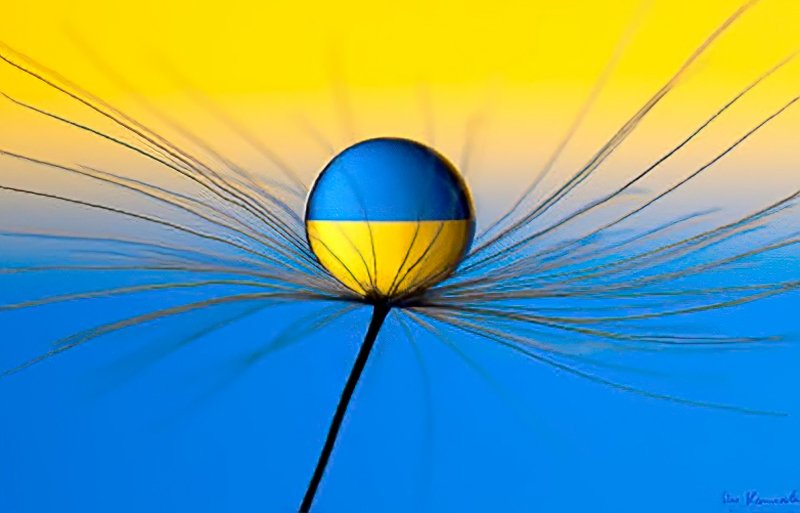 Macro Photography