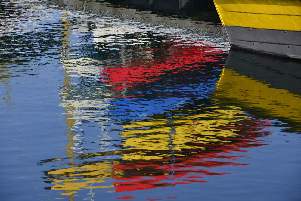 Mastering Color in Photography