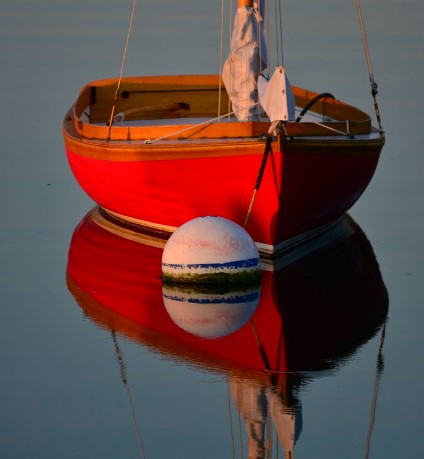 Mastering Color in Photography