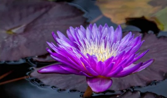 Photoshop for Photographers, Simplified