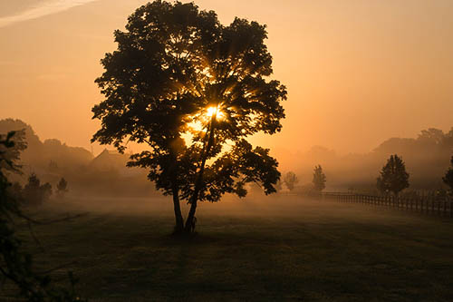 Private Access: Autumn on Two Working Horse Farms