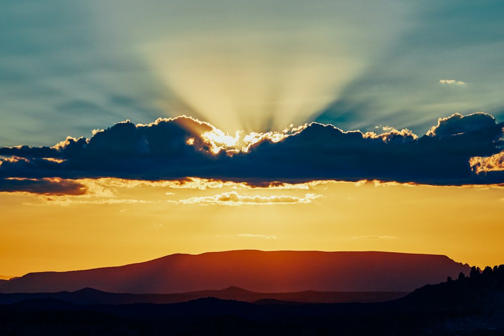 Using Light in Photography