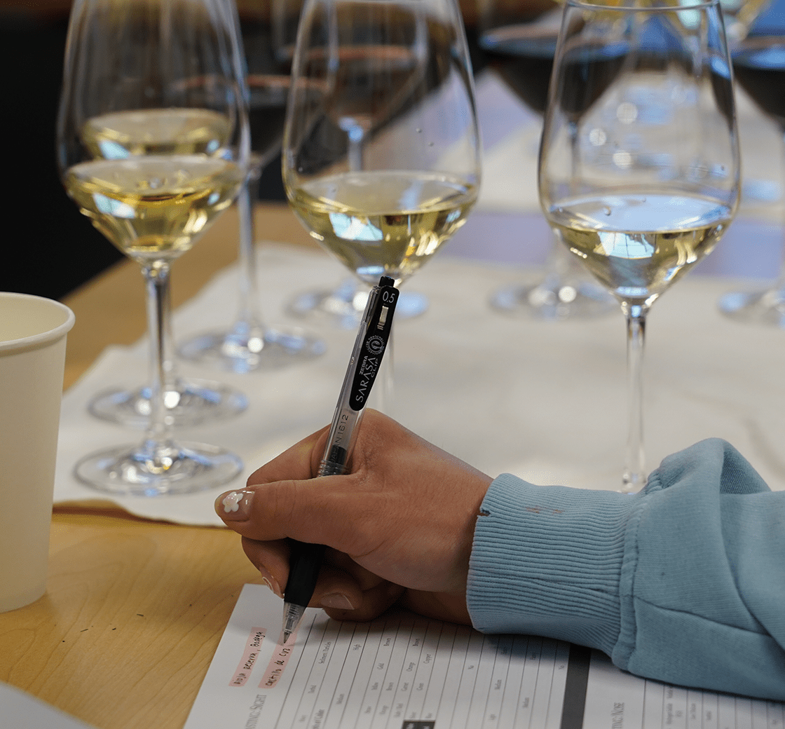 Essential Wines of Provence