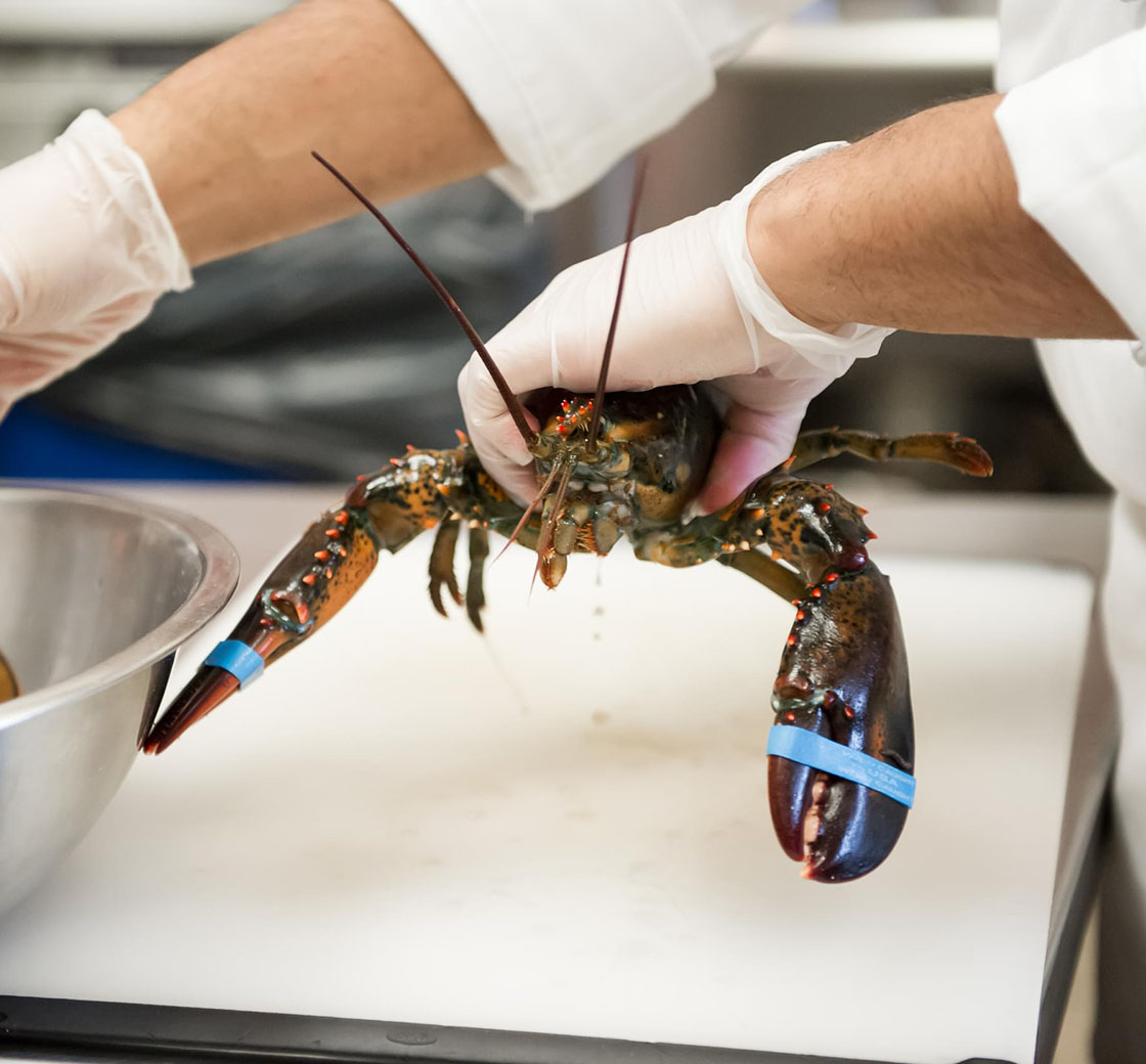 Knife Skills 4 Shellfish Butchery