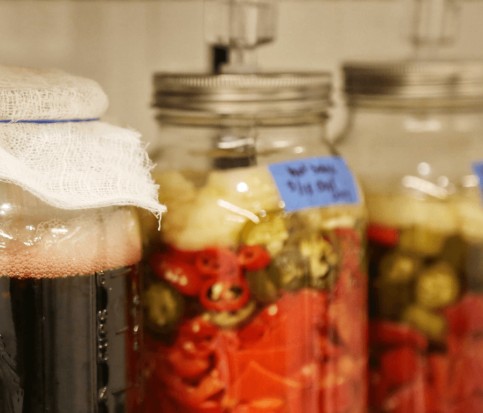 Introduction To Fermentation: Mexican Inspired Flavors