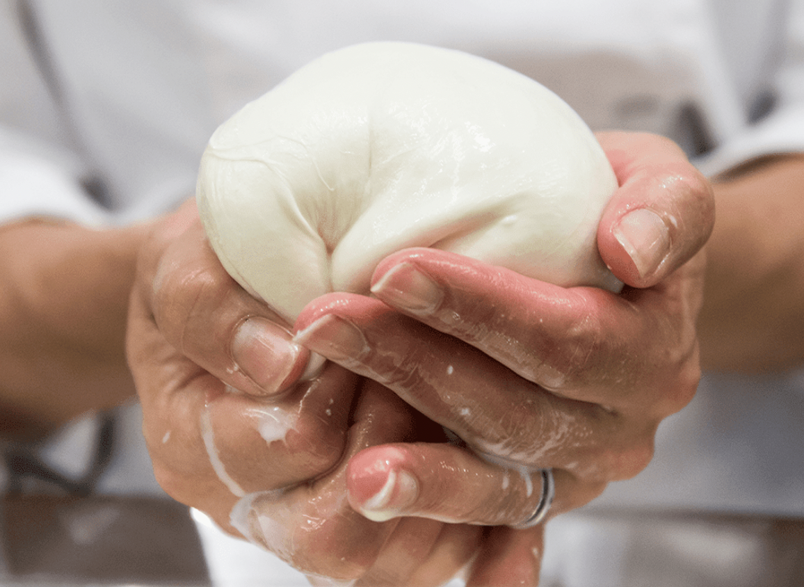 Mozzarella and Burrata Workshop