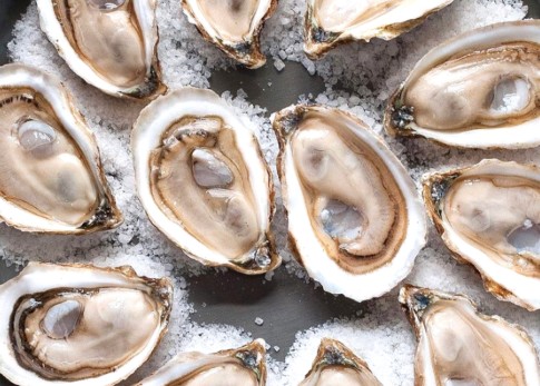 Oyster Café Pop-up