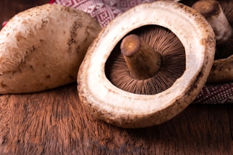Mushrooms: Key Ingredient