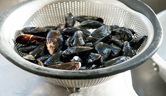 Techniques of Fish and Shellfish